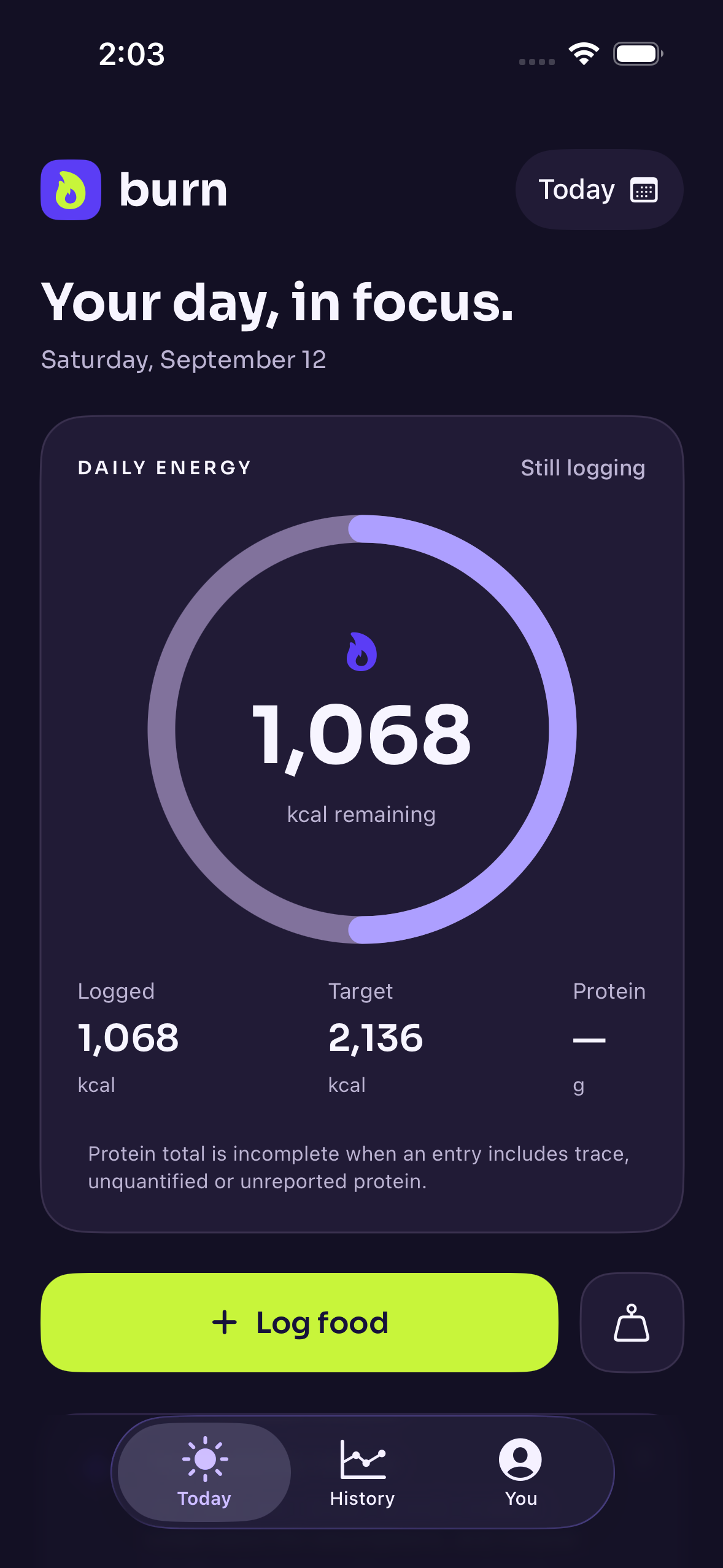 Burn Today screen with a violet calorie progress ring, logged energy, daily target and Log food button
